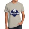 Unisex CVC Tee Thumbnail